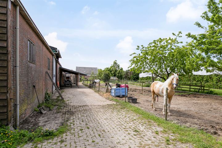 Bekijk foto 41 van Hogeweg 17