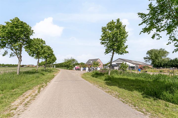 Bekijk foto 43 van Hogeweg 17