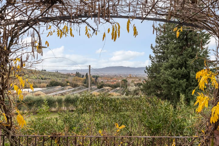 Foto 68 van Villa San Jacopo