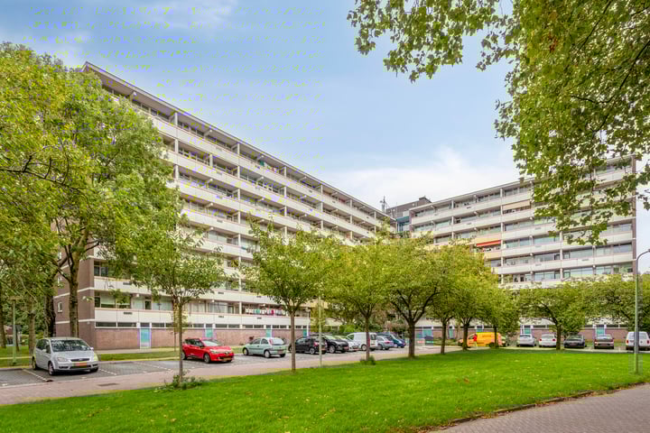 Pinksterbloemweg 231