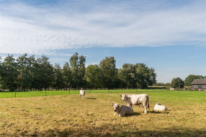 Bekijk foto 68 van Nieuwe Veldenweg 2