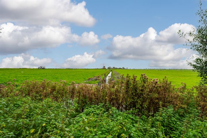 Bekijk foto 28 van Westmijzerdijk 9