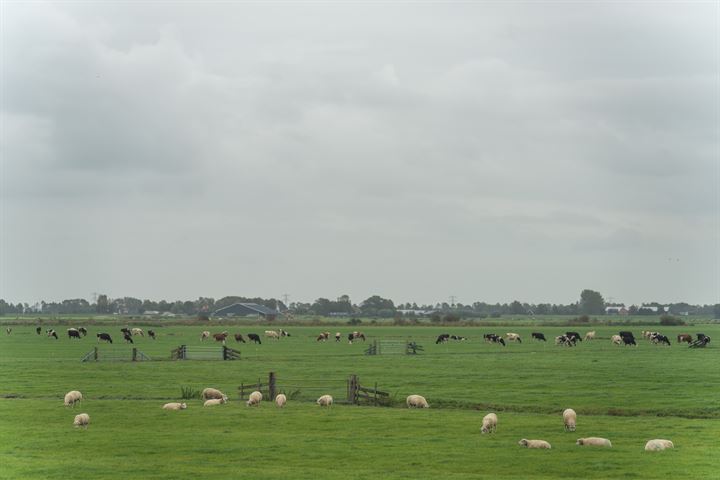 Bekijk foto 26 van Westmijzerdijk 9