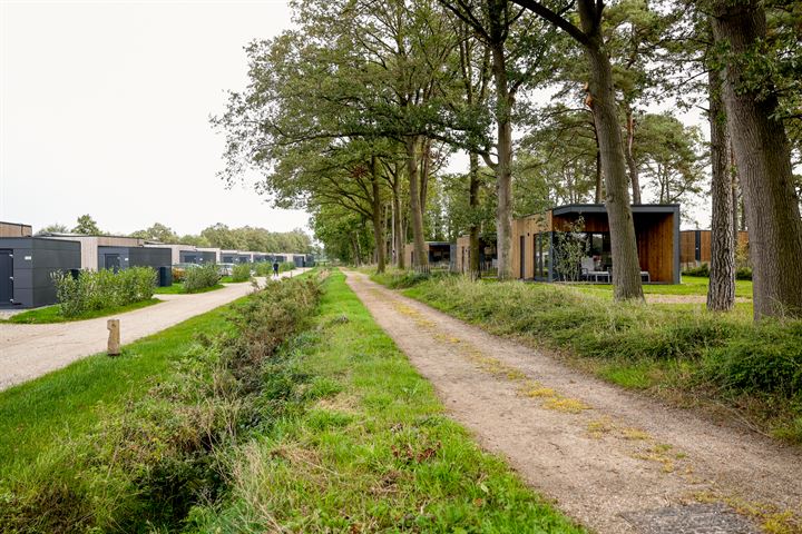 Bekijk foto 26 van Vosseveldseweg 15-120