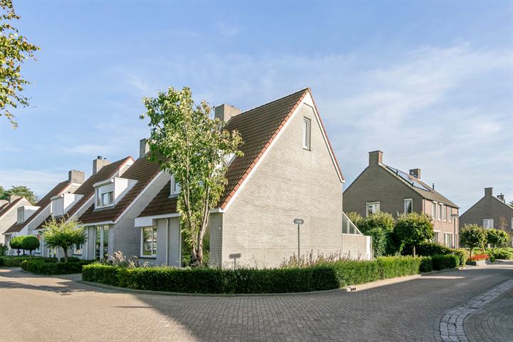 Bekijk foto 4 van Kraaienhorst 2