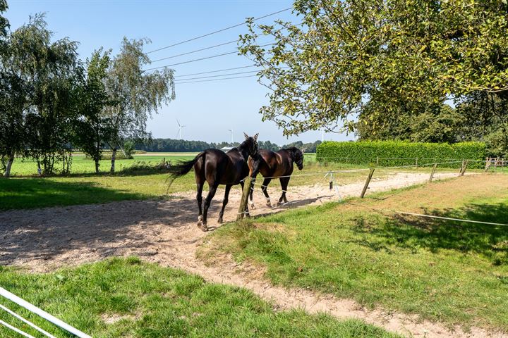 Bekijk foto 40 van Beneden Veensloot 39