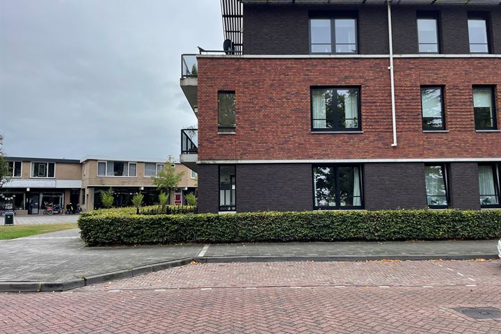 Bekijk foto 17 van Lignestraat 20