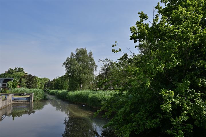 Bekijk foto 39 van Zilverschoon 71