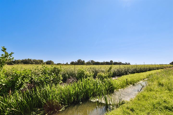 Bekijk foto 30 van Grote Poellaan 47