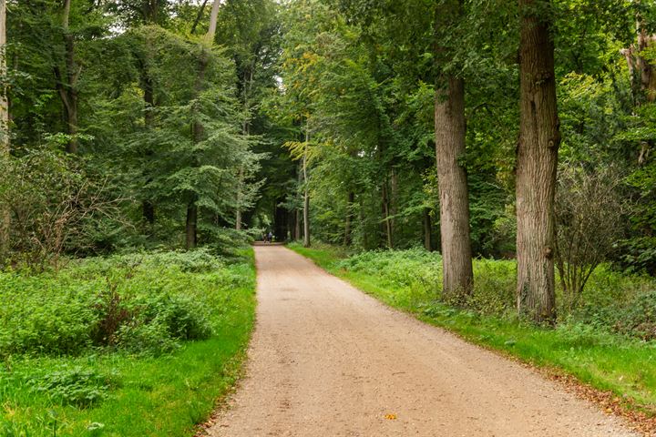 Bekijk foto 32 van Kemperbergerweg 721-A