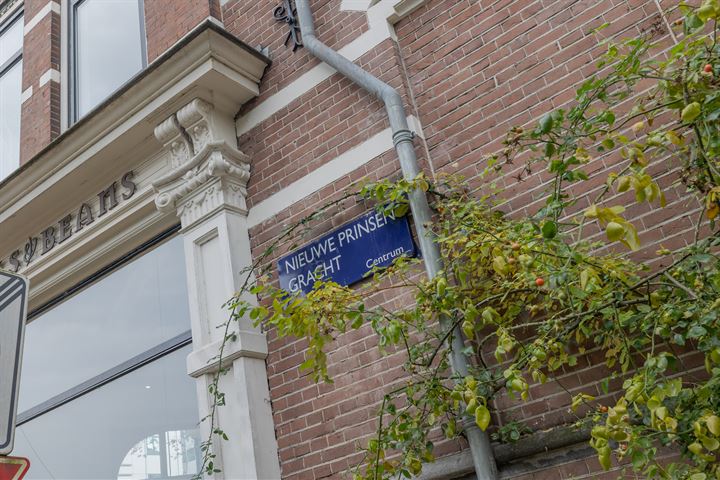 Bekijk foto 21 van Nieuwe Prinsengracht 120-I