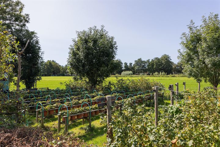 Bekijk foto 30 van Vijfhuizerdijk 230