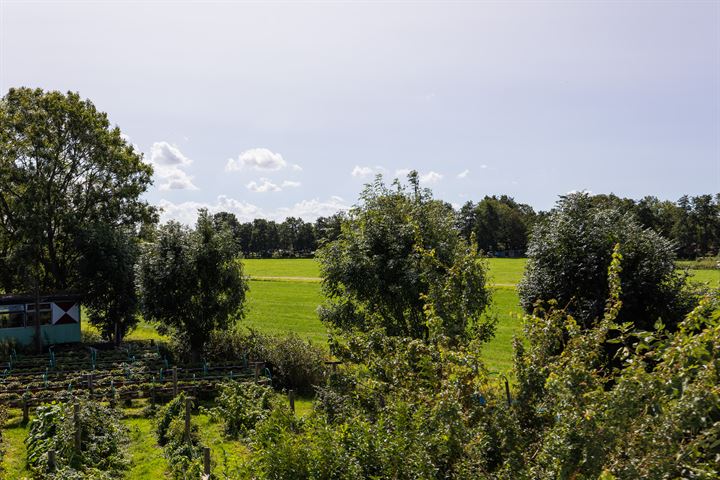 Bekijk foto 28 van Vijfhuizerdijk 230