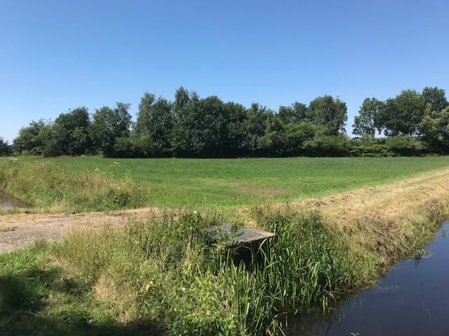 Photo 1 of Achter maten