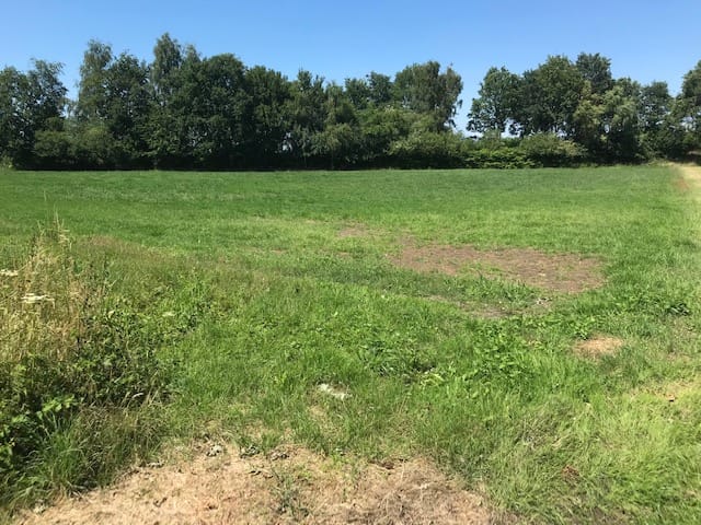 Foto 2 van Achter maten