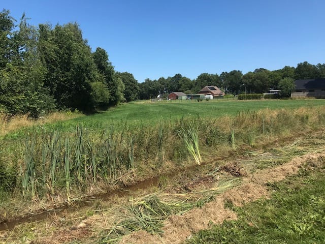 Foto 3 van Achter maten