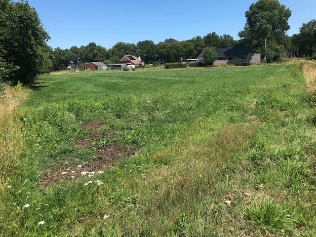 Photo 5 of Achter maten