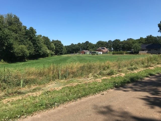 Photo 6 of Achter maten