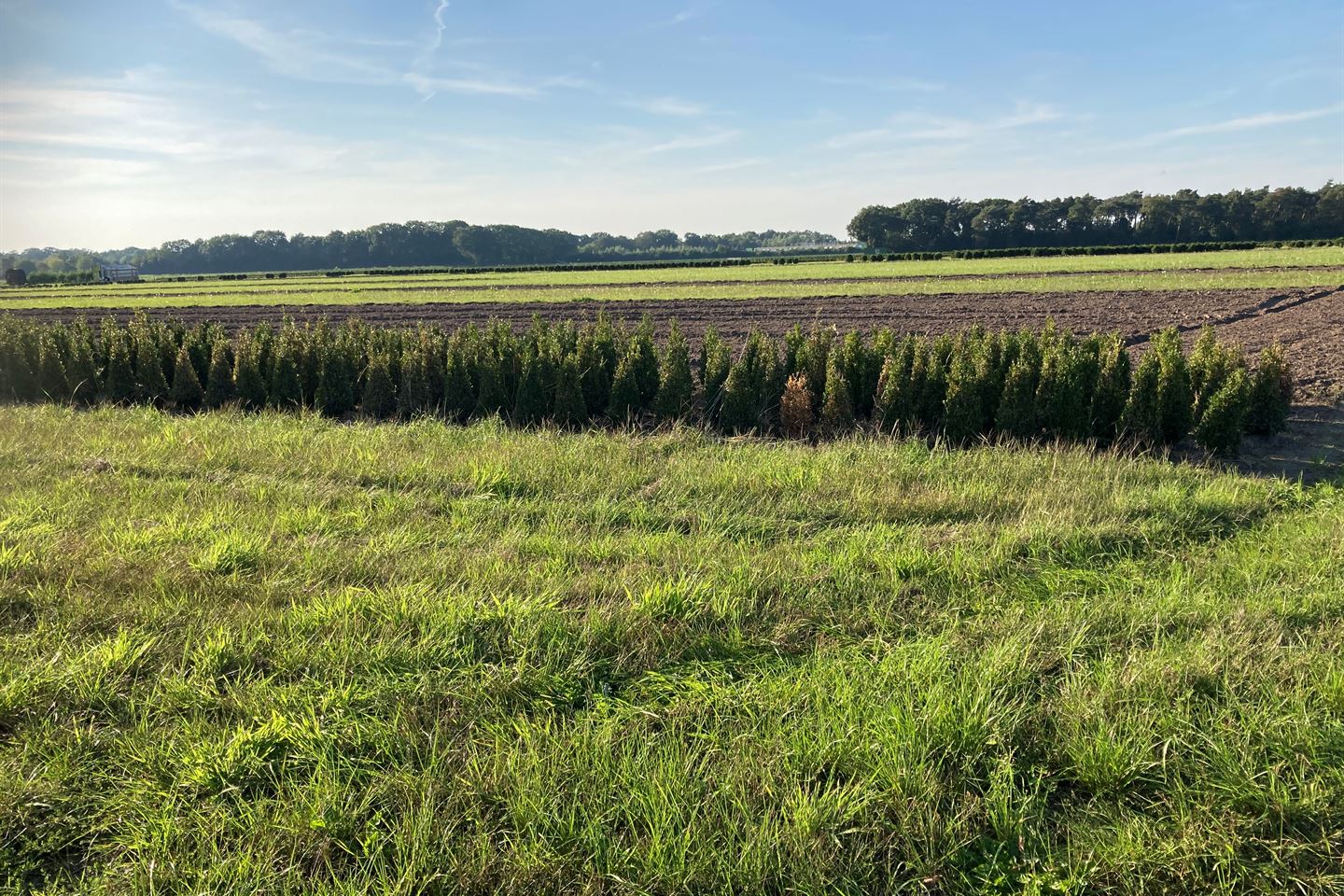 Bekijk foto 4 van Lange Heide