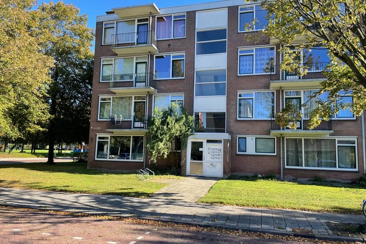 Bekijk foto 1 van Beethovenlaan 676