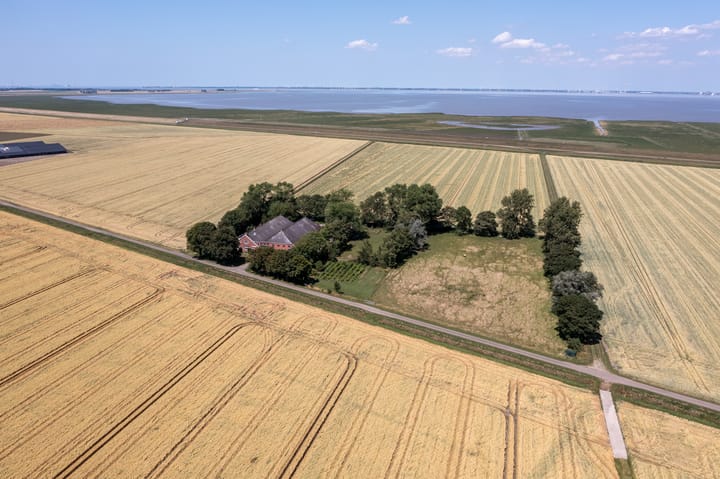 Foto 2 van Carel Coenraadpolder 2