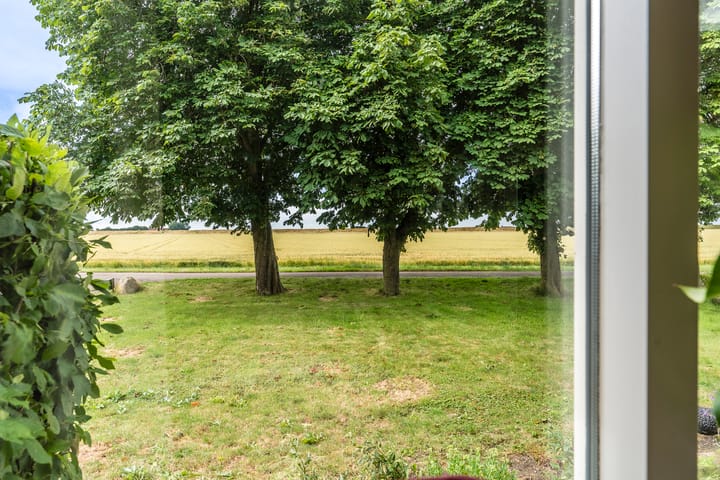 Foto 14 van Carel Coenraadpolder 2