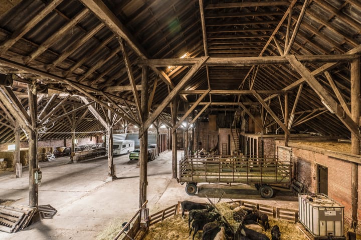 Foto 34 van Carel Coenraadpolder 2