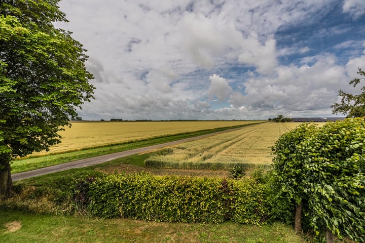 Foto 39 van Carel Coenraadpolder 2