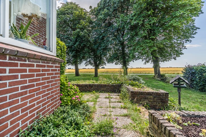 Foto 46 van Carel Coenraadpolder 2