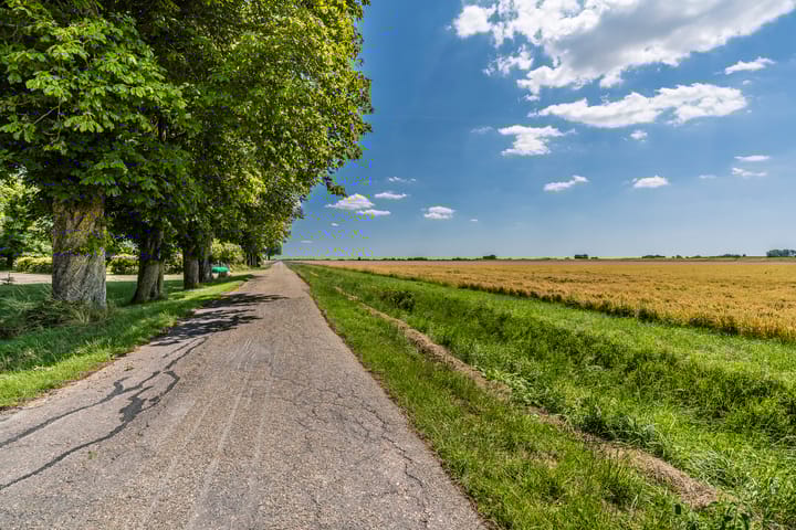 Foto 50 van Carel Coenraadpolder 2