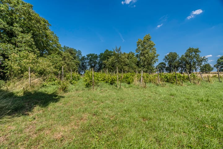 Foto 57 van Carel Coenraadpolder 2