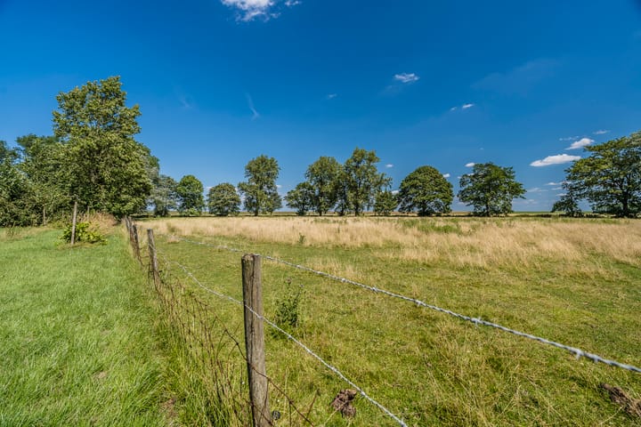 Foto 58 van Carel Coenraadpolder 2