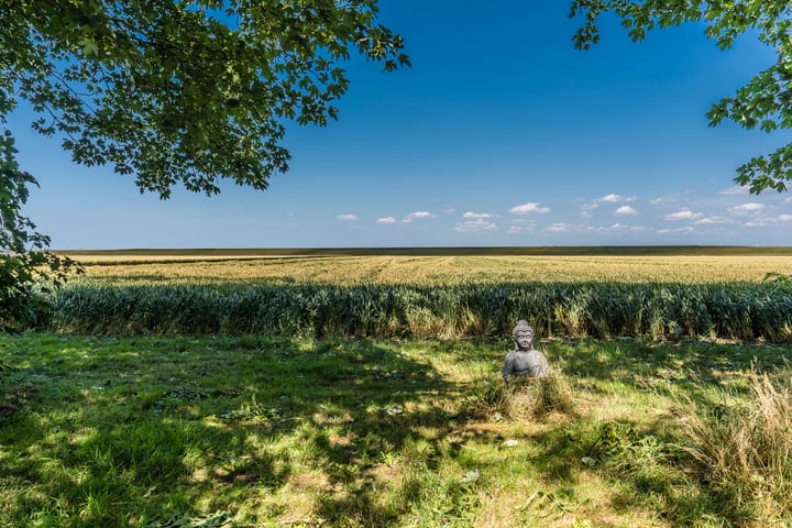 Foto 61 van Carel Coenraadpolder 2