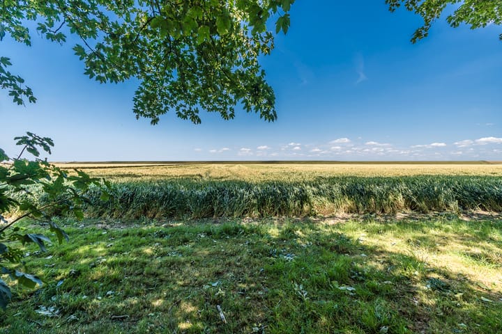 Foto 62 van Carel Coenraadpolder 2