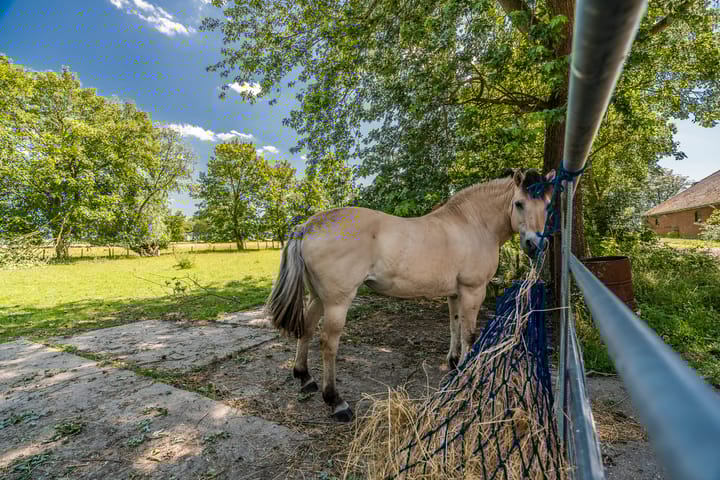 Foto 63 van Carel Coenraadpolder 2