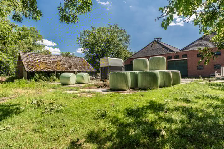 Foto 64 van Carel Coenraadpolder 2