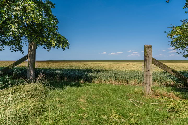 Foto 65 van Carel Coenraadpolder 2