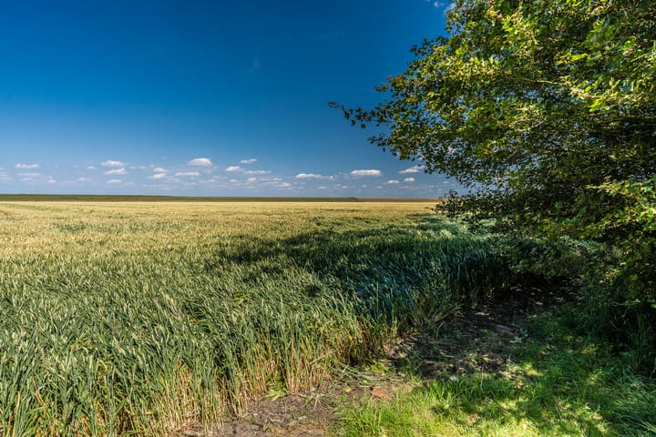 Foto 66 van Carel Coenraadpolder 2