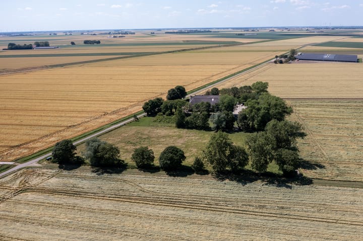 Foto 69 van Carel Coenraadpolder 2