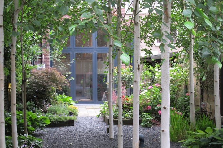 Foto 36 van Tivolistraat 22