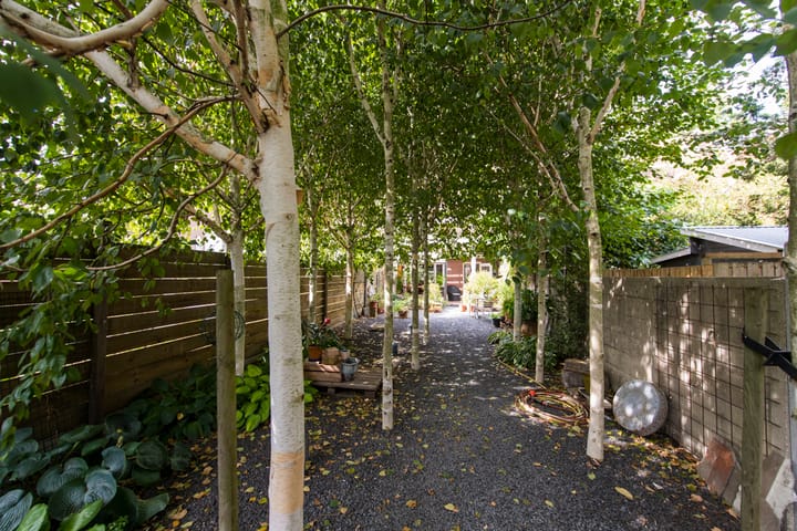 Foto 35 van Tivolistraat 22