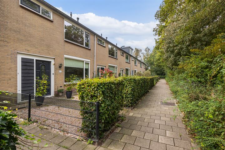 Bekijk foto 4 van Jan Mankesstraat 85