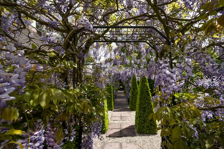 Photo 51 of Kooltjespad 3