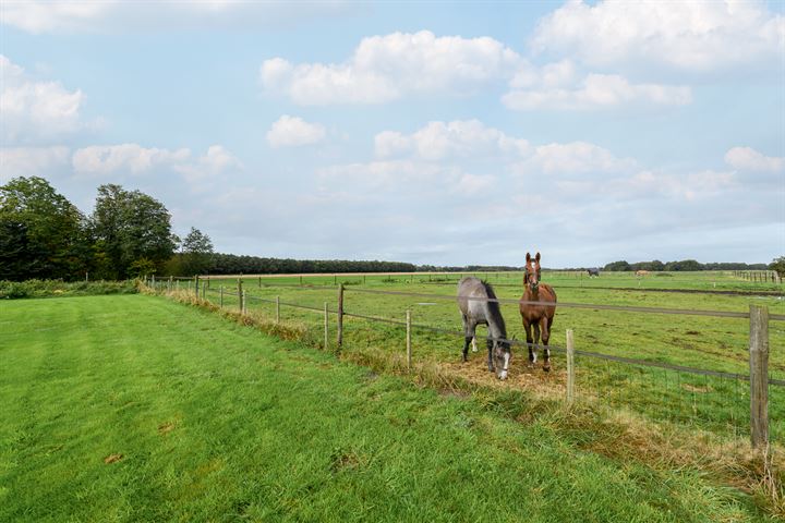 Bekijk foto 3 van Pepergaweg 15