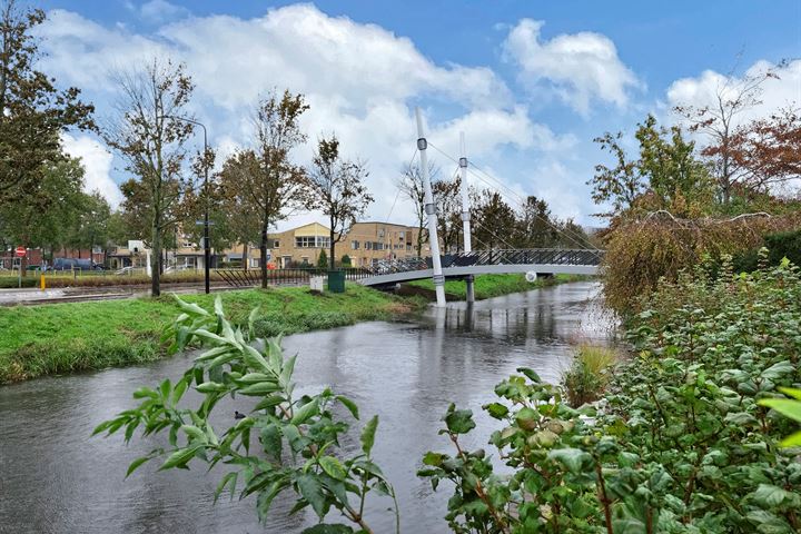 Bekijk foto 39 van Moerbeeklaan 34