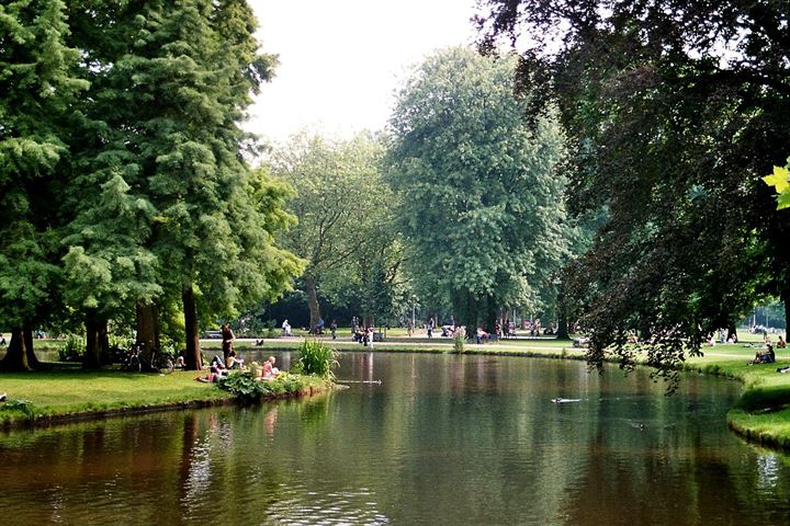 Bekijk foto 76 van Johannes Verhulststraat 150-2