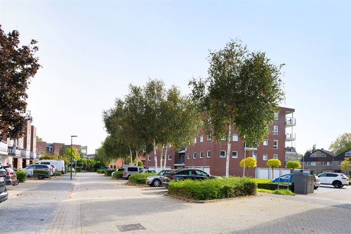 View photo 31 of Burgemeester Van Gilsstraat 19