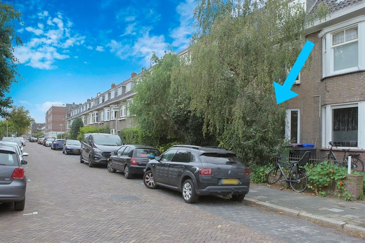 Bekijk foto 7 van Ternatestraat 173