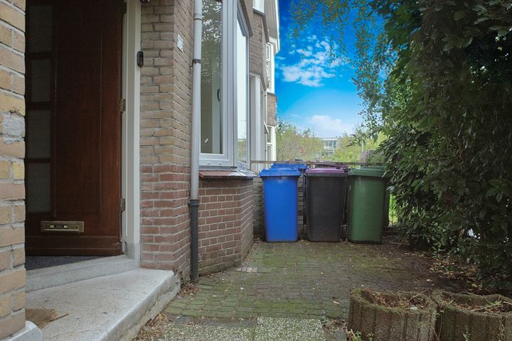 Bekijk foto 10 van Ternatestraat 173