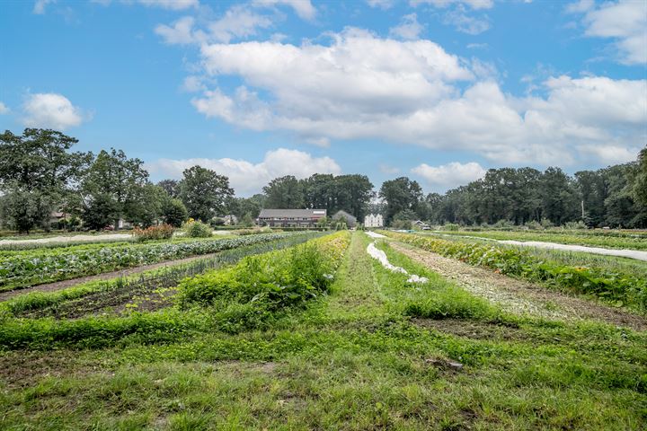 Bekijk foto 44 van Vlieterweg 112